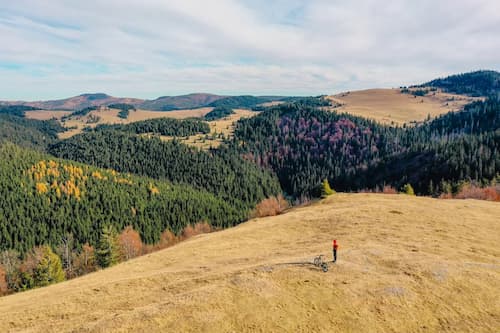 Platoul Padis - păduri virgine și poieni alpine